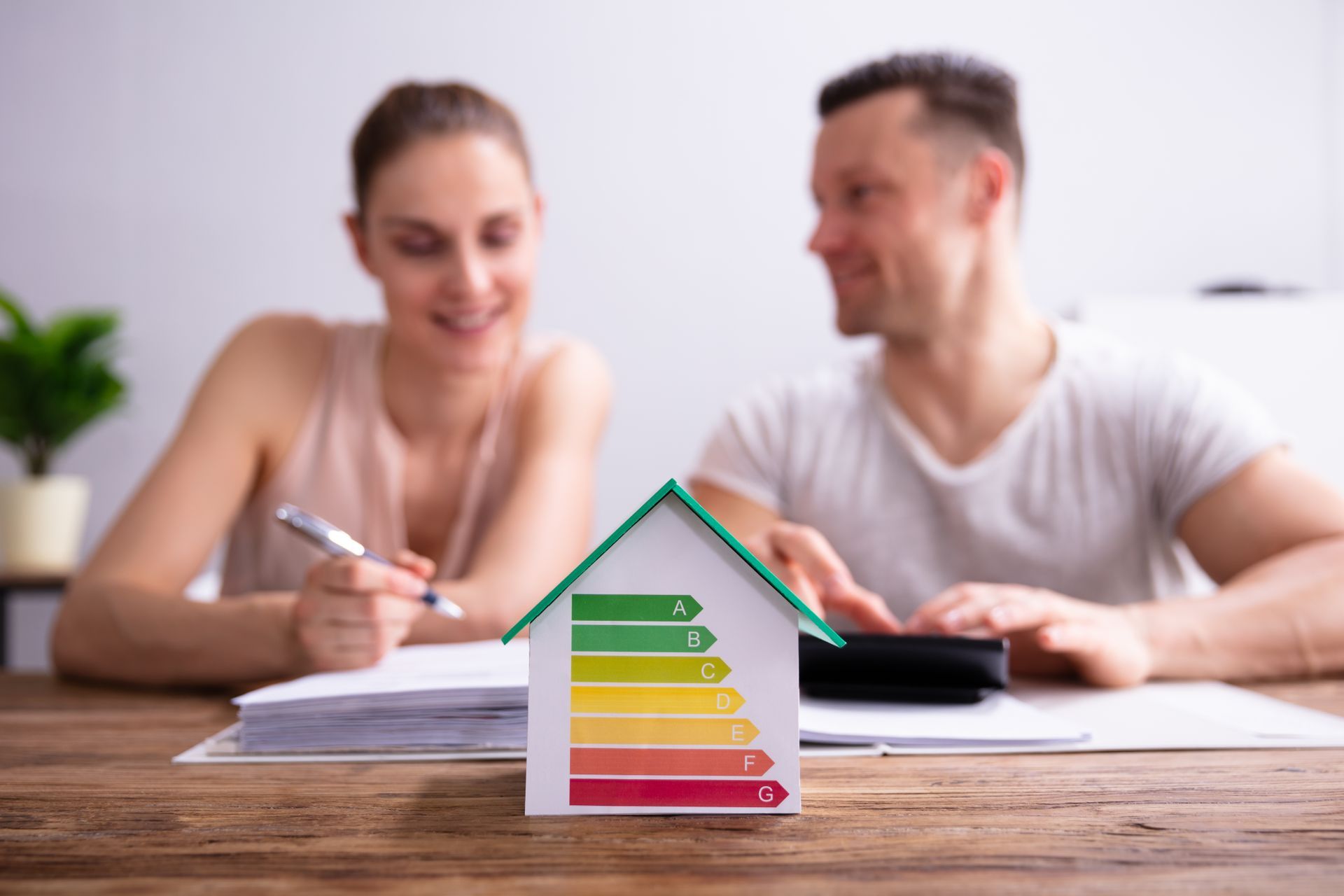 Energy rating scale beside a house, representing a domestic BER assessment