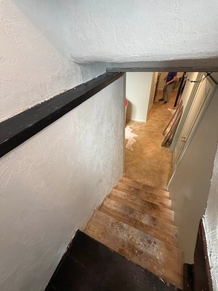 A steep, unfinished wooden staircase leads down to a carpeted room seen through an open doorway.