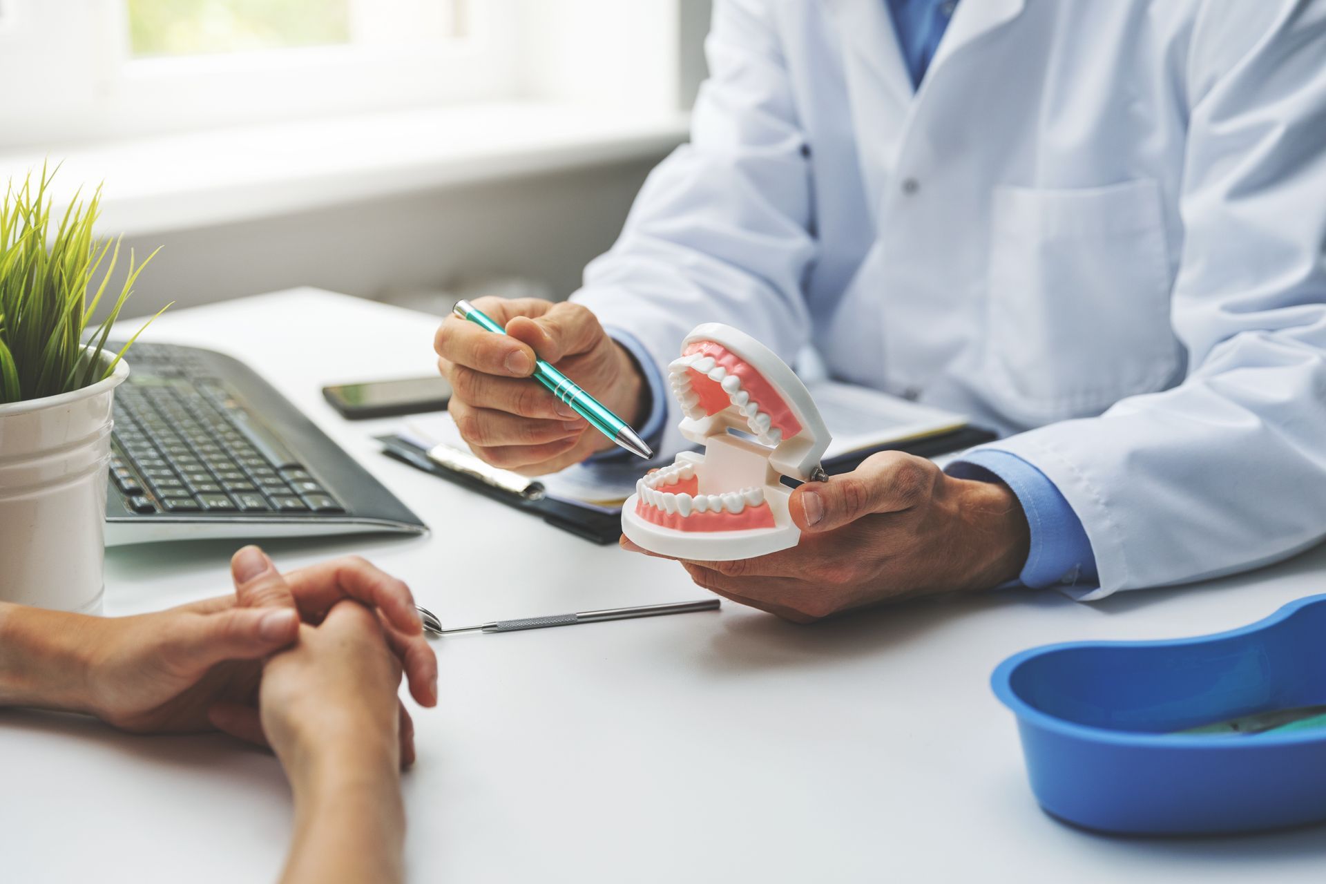 Dentist explaining dental care using a jaw model while consulting with a patient.