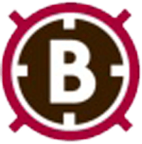 Bold Solutions Company logo