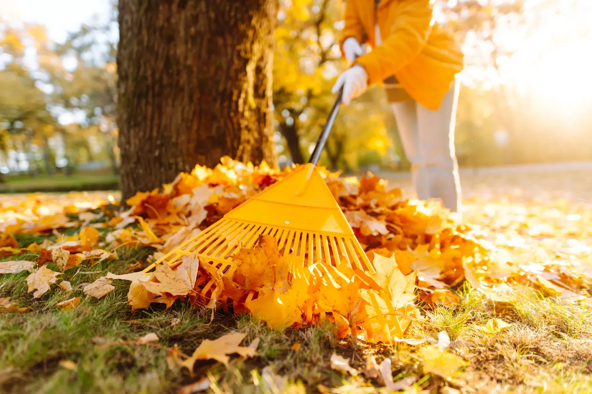 Fall/Winter Maintenance 