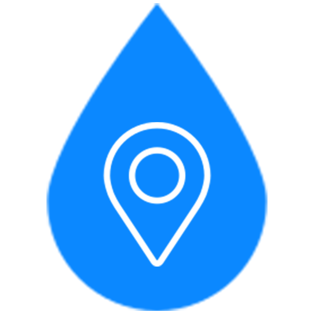 Pin Icon