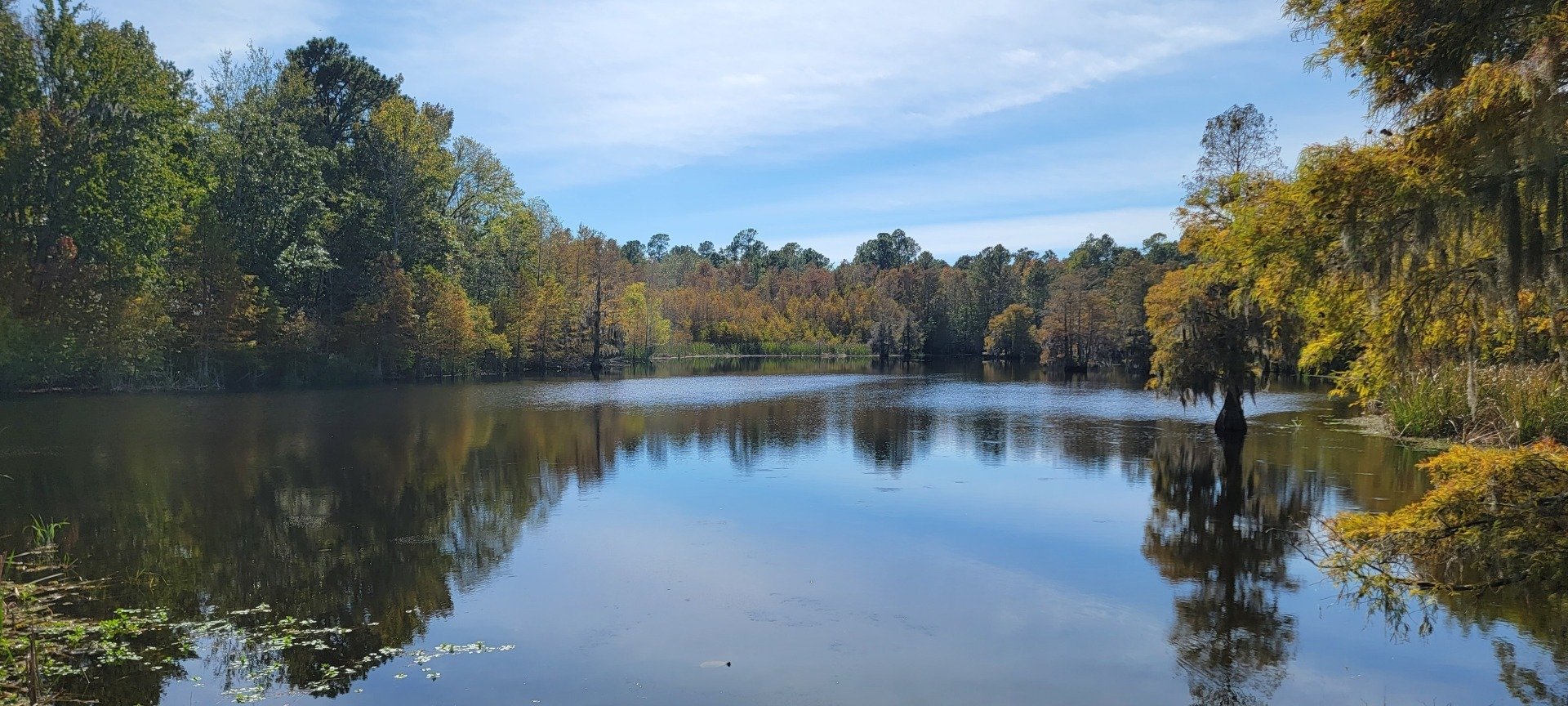 Blacks Camp The Best Fishing Camp in Santee Cooper Lakes