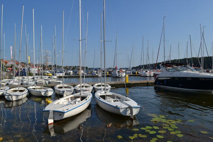 Marina with boats and lily pads