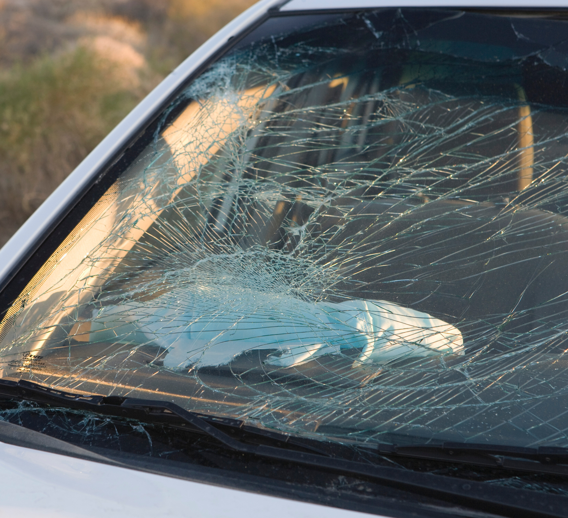 Cracked car windshield with a deployed airbag inside
