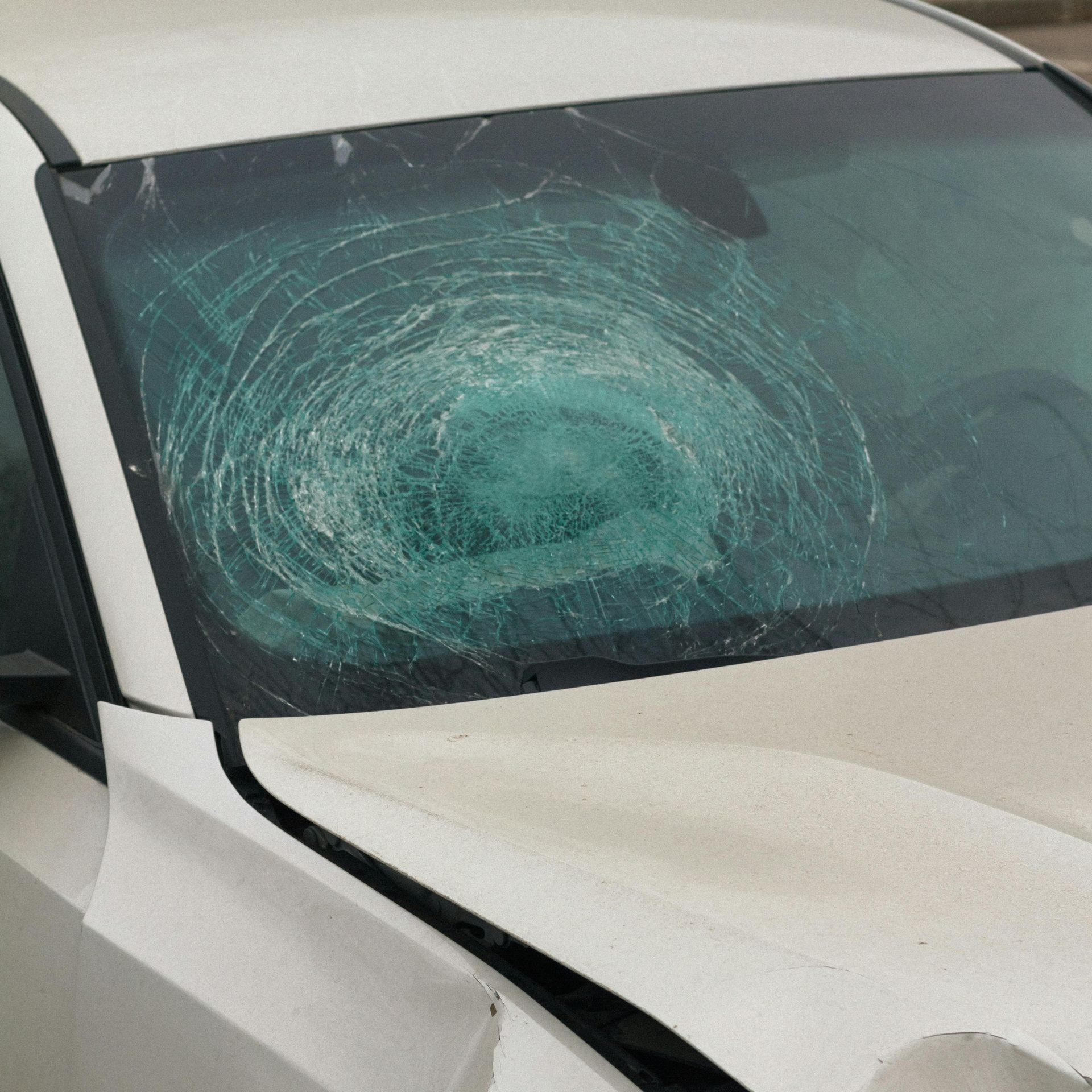 Cracked windshield on a white car, with a large spiderweb impact mark on the driver’s side.