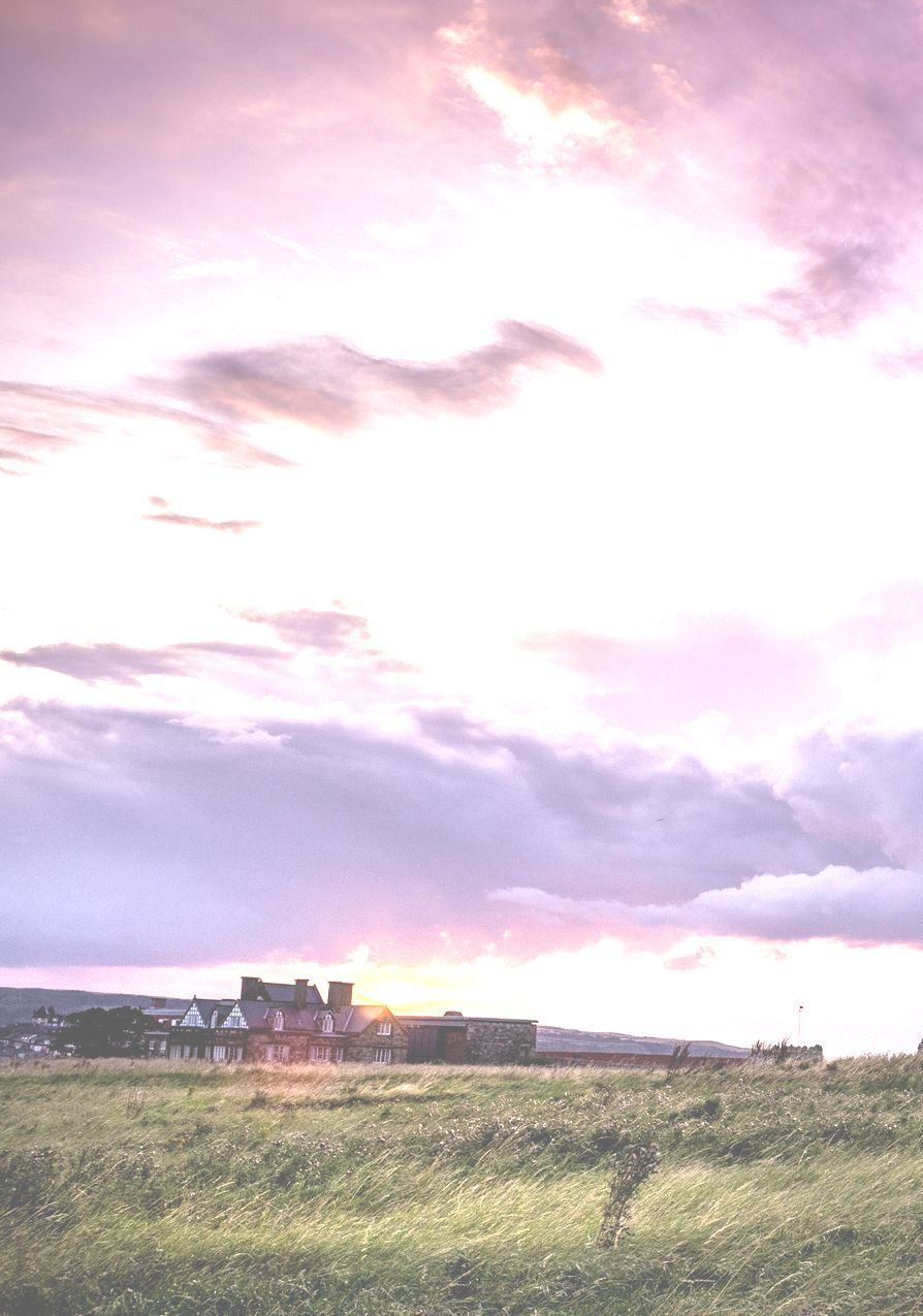Sunset over a grassy field, buildings in the distance. Purple and pink sky.