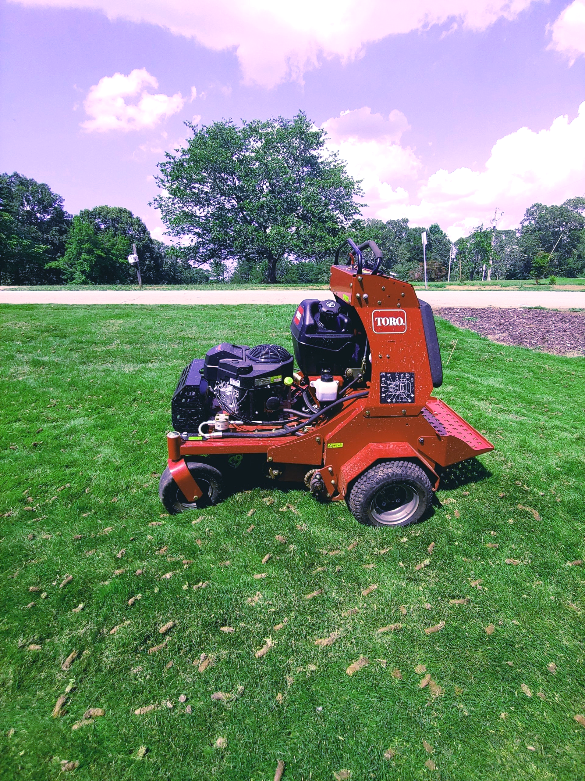 lawn management services