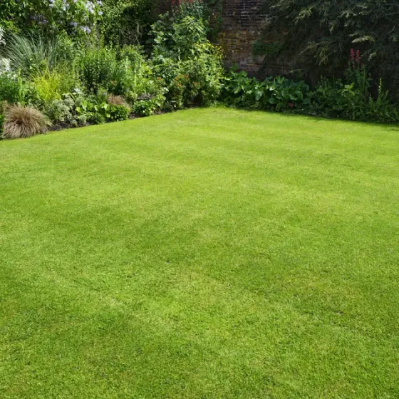 lawn management services