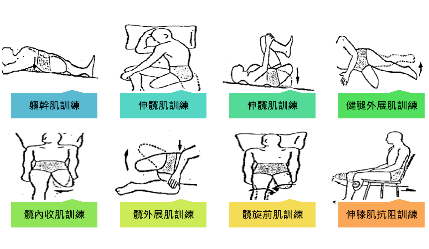 術後復健運動教學圖:八種居家訓練動作示範,包含軀幹肌訓練、伸髖肌訓練及健腿外展訓練,配有箭頭標示動作方向。