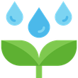 ICONA LOGO