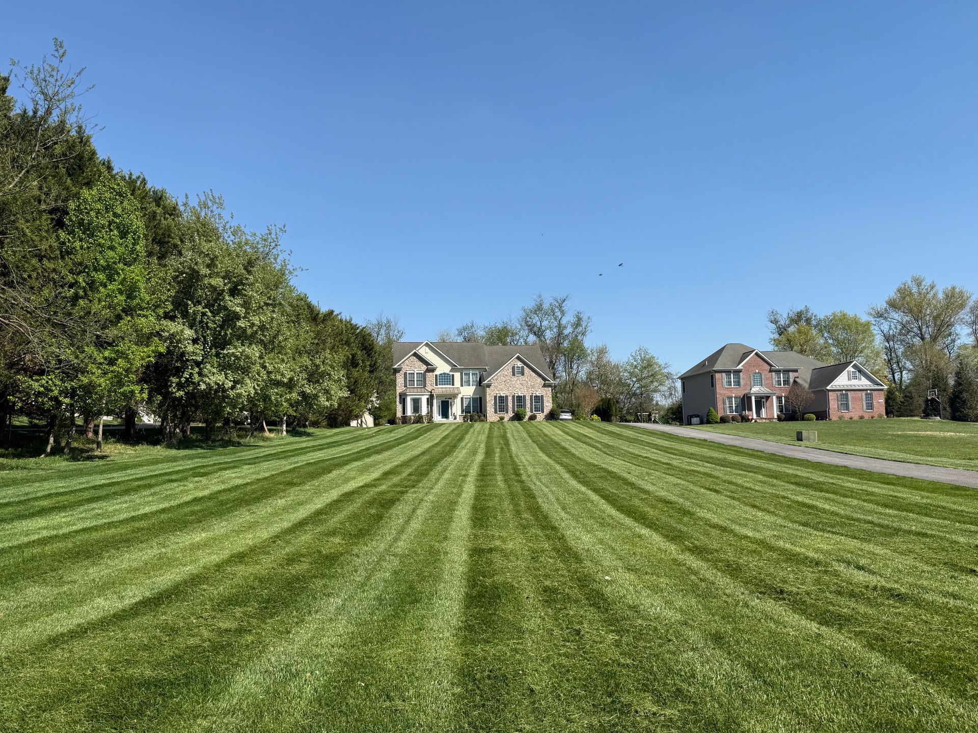 Wide striped green lawn leading to suburban houses under a clear blue sky