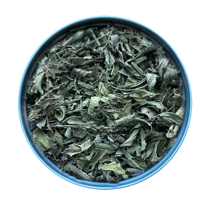 Dried Blue Vervain