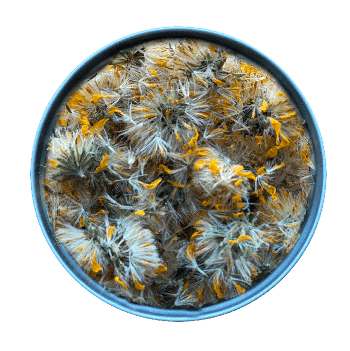 Dried Arnica
