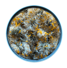 Dried Arnica