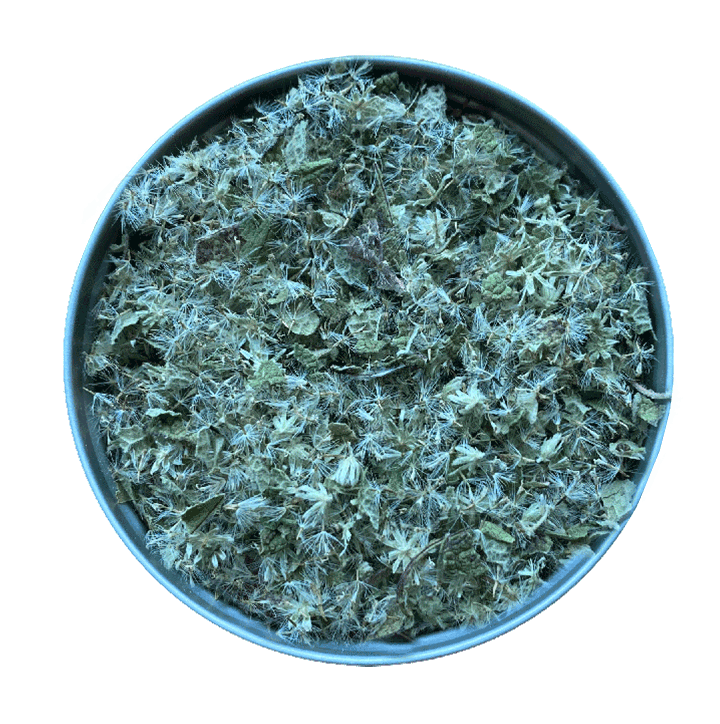 Dried Boneset