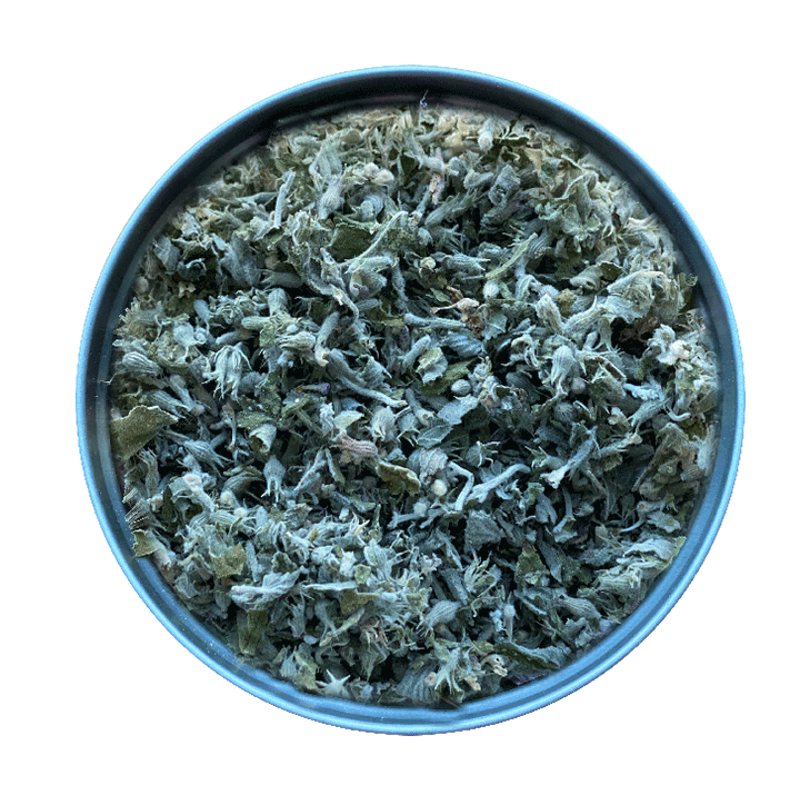 Dried Catnip
