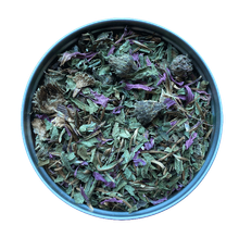 dried echinacea leaf flower
