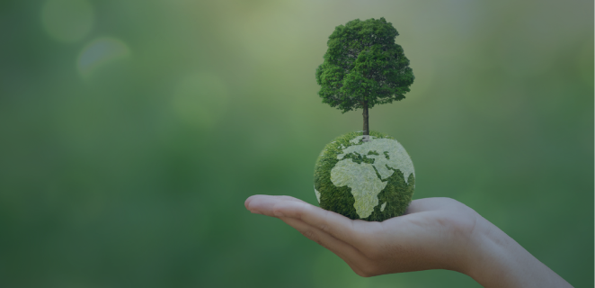 Entenda sobre a Sustentabilidade na Logística com o Infográfico Completo sobre ESG