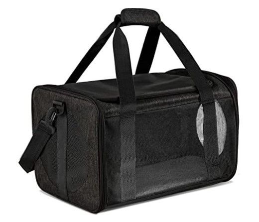 Soft-sided Cat and Kitten Carrier