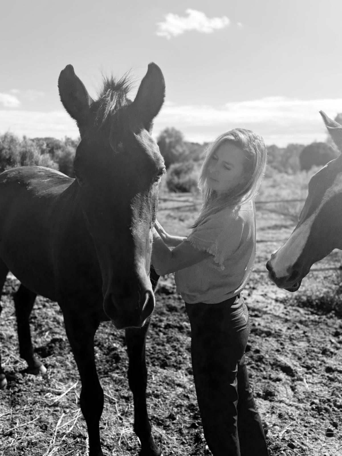 Coaching met paarden op Mallorca