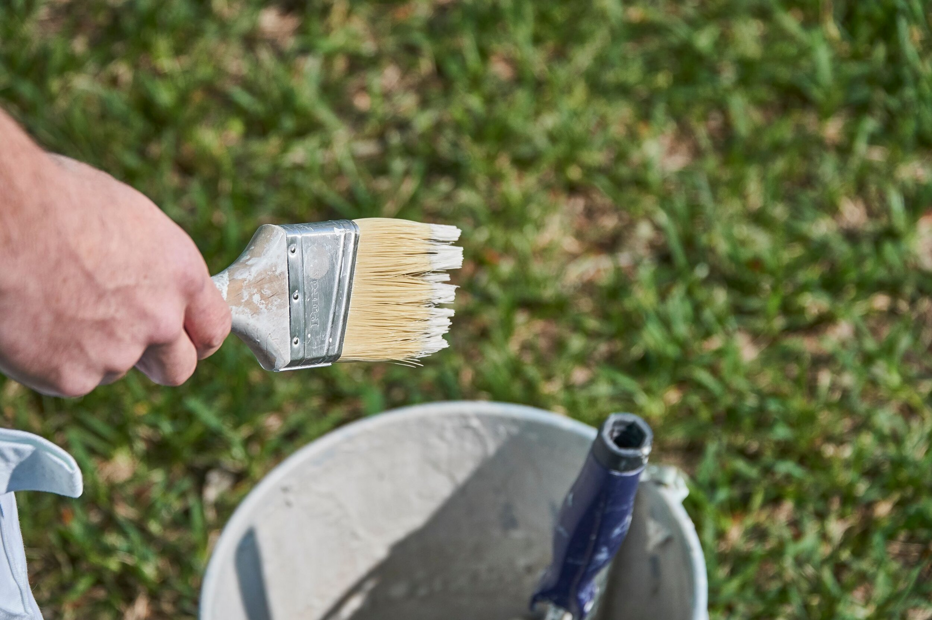 A person holds a paint-covered brush over a bucket, with green grass in the background.