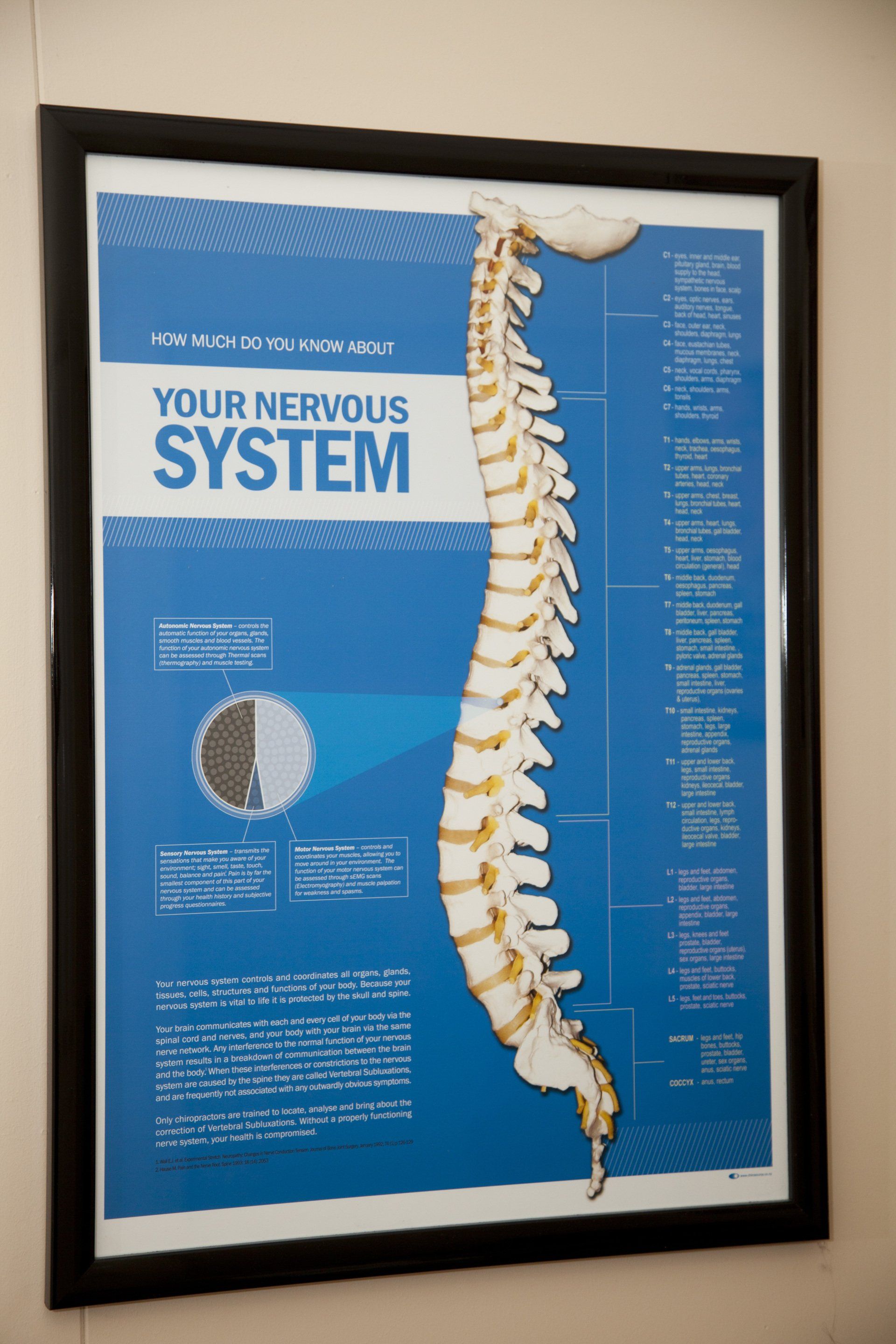 Photo Frame — Camden, NSW — Vicki Patterson Chiropractic