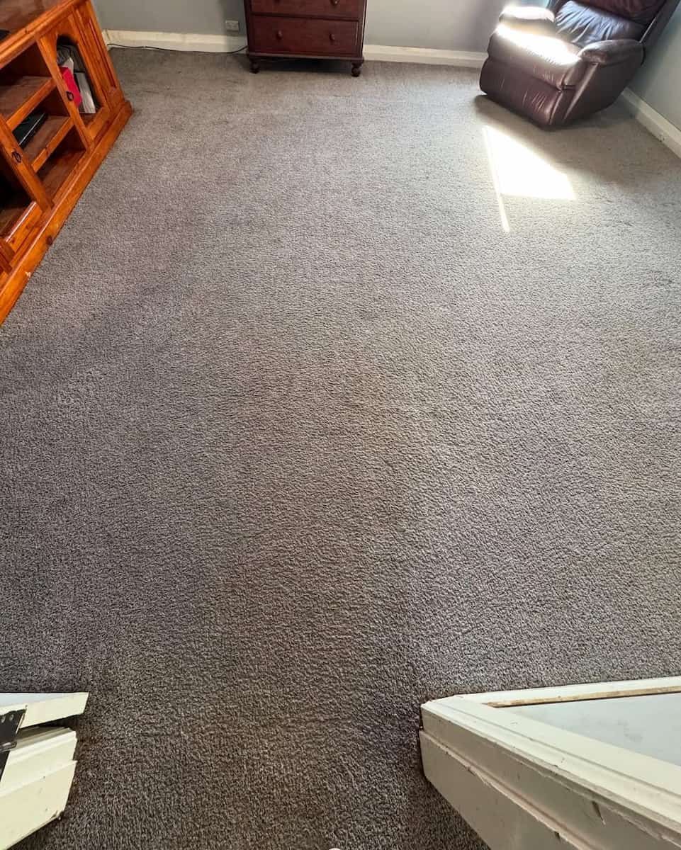 A Room With Grey Wall-to-wall Carpeting, a Wooden Media Console on the Left — Cobra's Carpet Cleaning in Junee, NSW