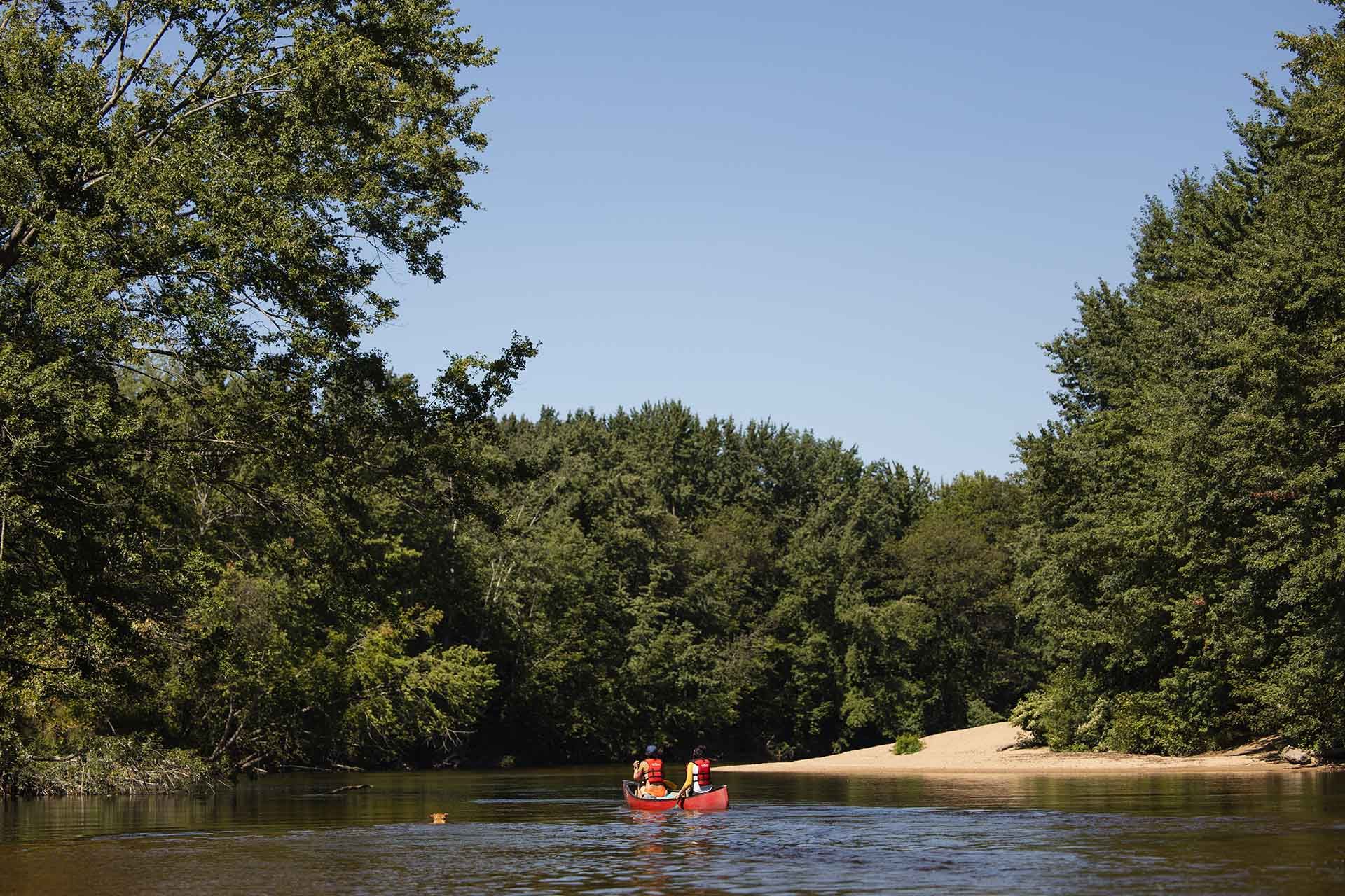 Two Person in A Red Kayak Paddling Down a River Surrounded by Trees