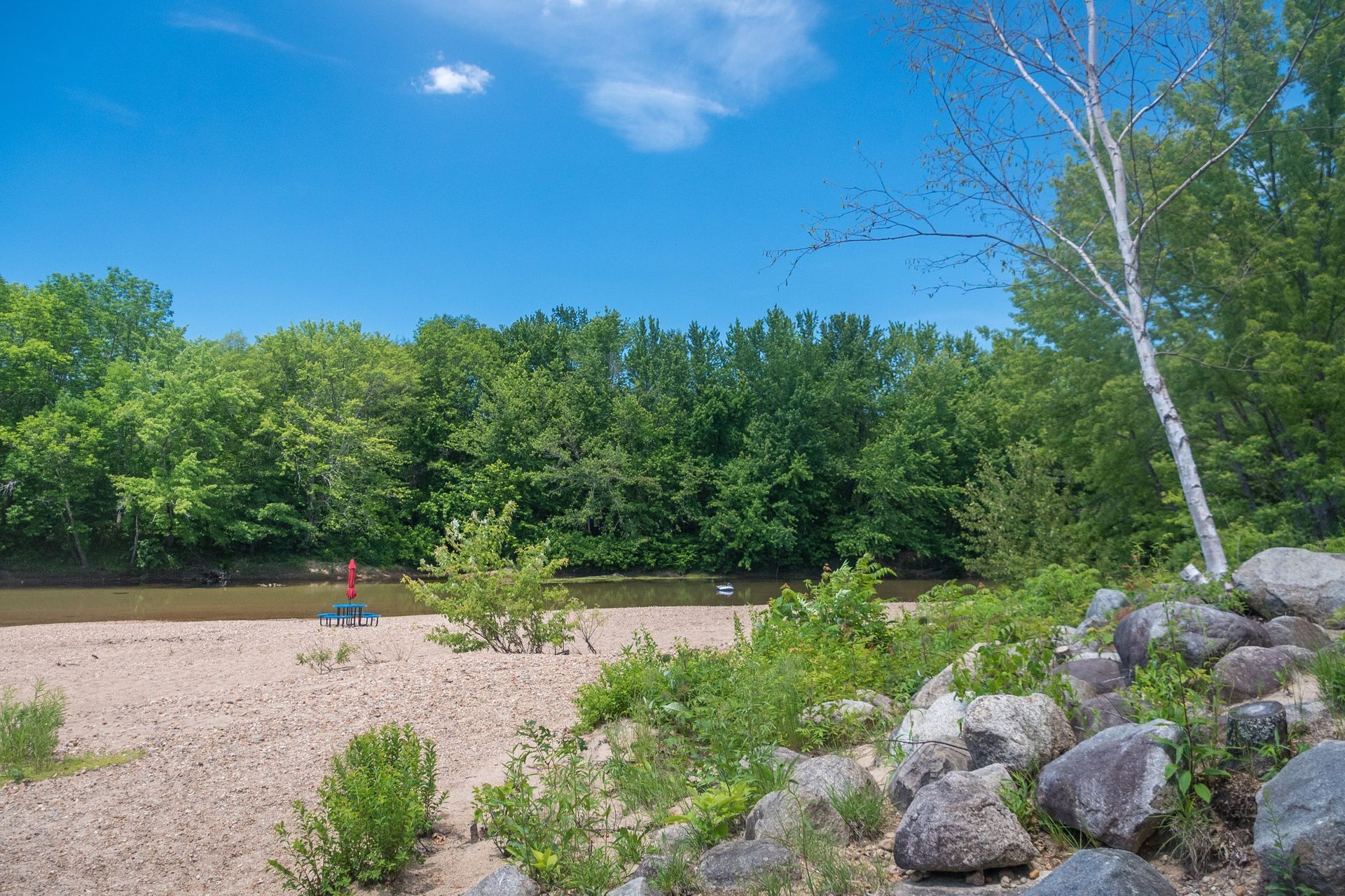 Sandy beach with trees and a river under a blue sky.