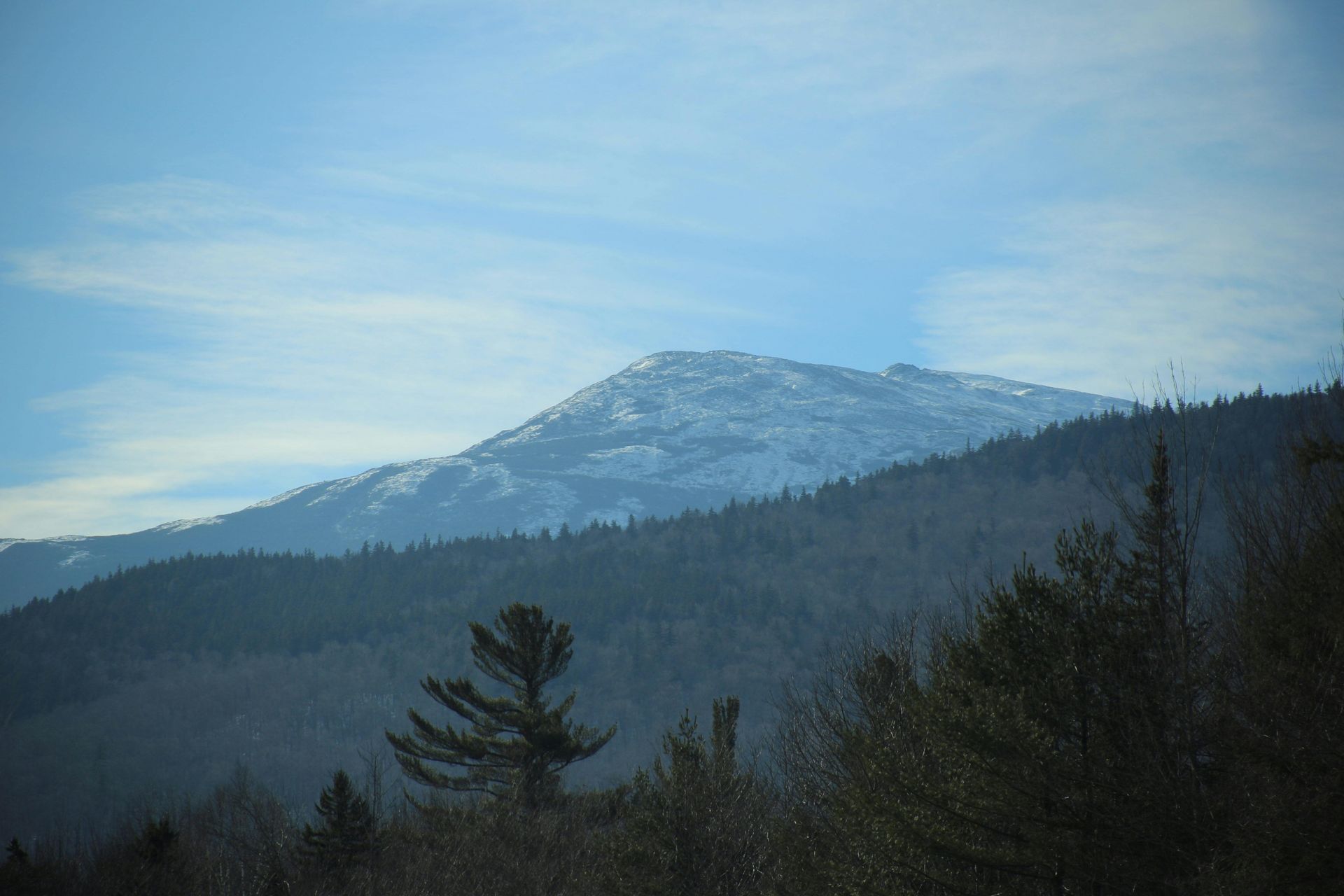 A mountain covered in snow is surrounded by trees on a sunny day.