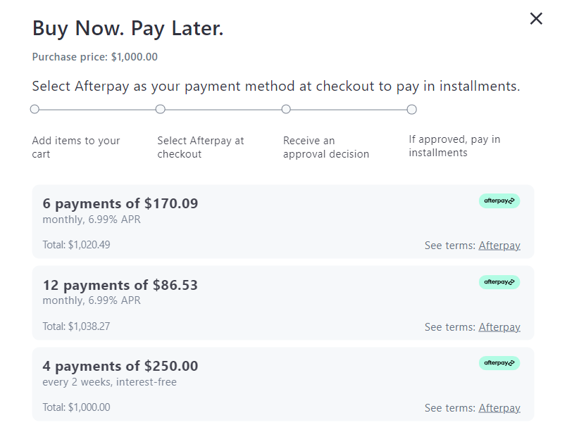A screenshot of a website that says `` buy now pay later ''.