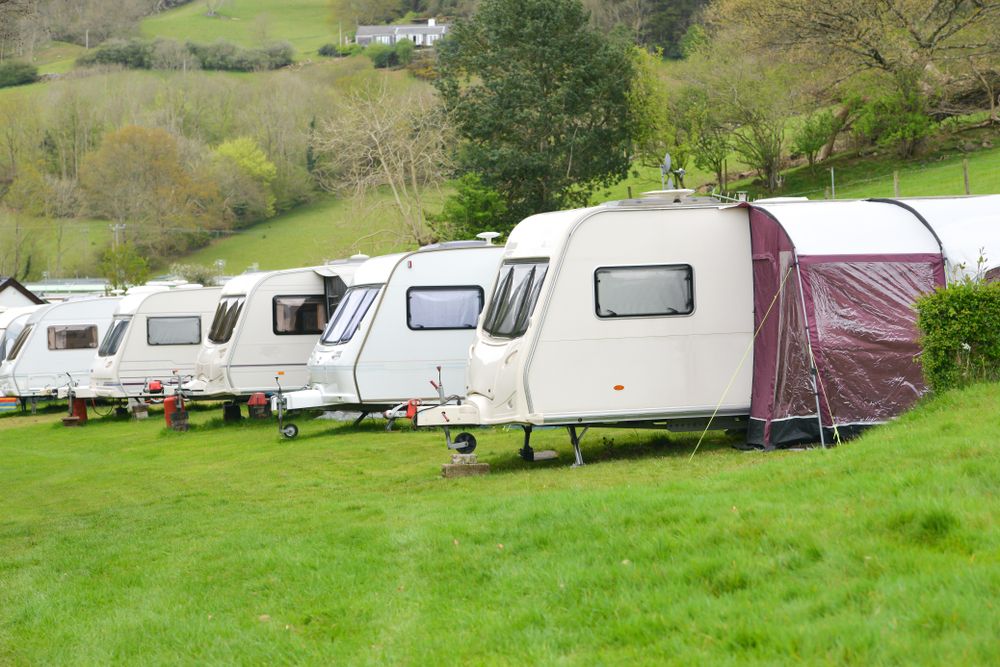 A Row of Caravans Parked in a Grassy Field — Capital Caravans Pty Ltd In South West Rocks, NSW
