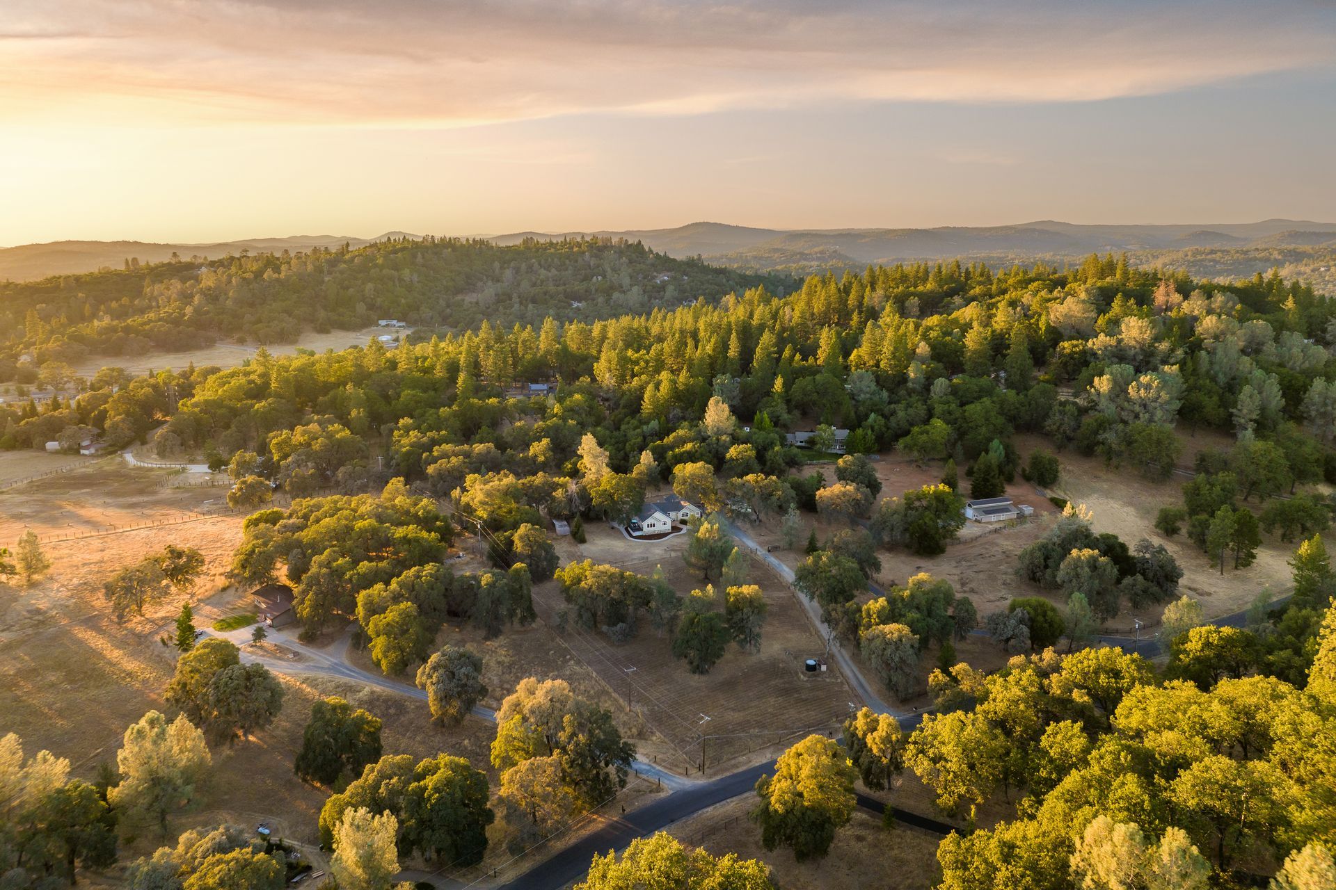 Aerial view of a wooded hillside property with mixed oak and pine trees under sunset sky | Auburn Homes for Sale