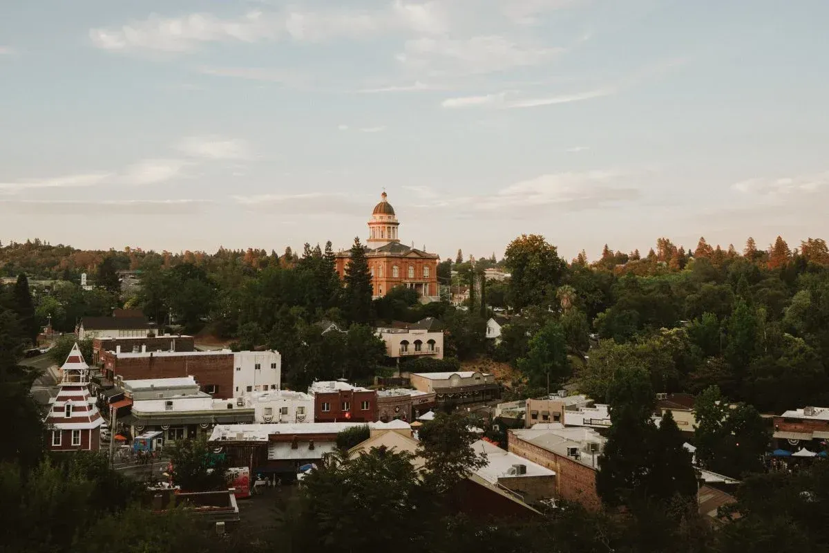 Panoramic view of a historic town and lush greenery.

