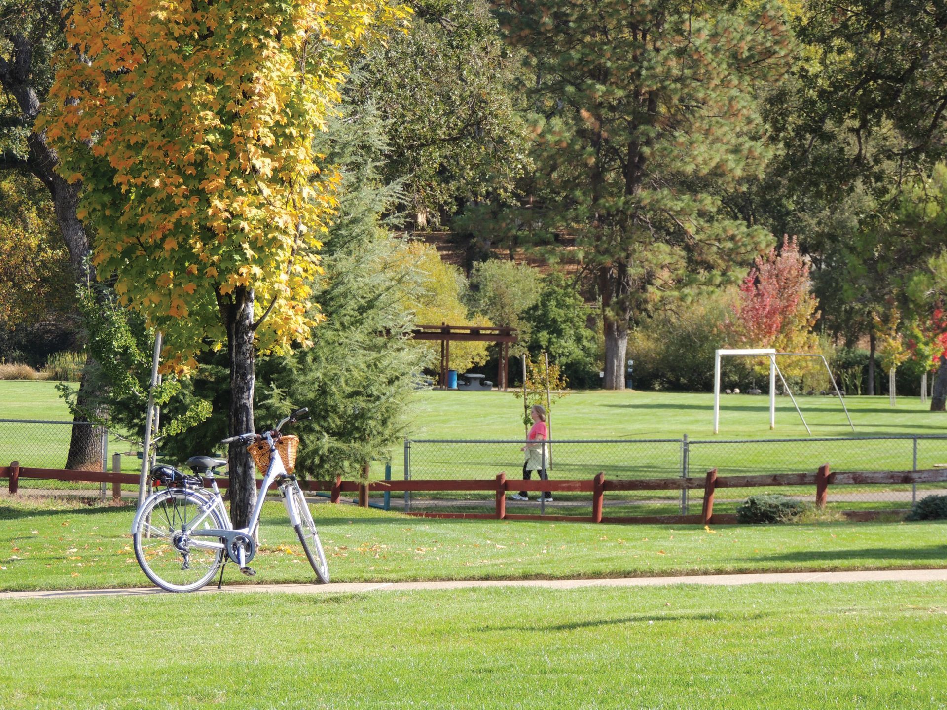A bicycle leaning against a tree in a wide-open backyard with mature trees on a ranch property.