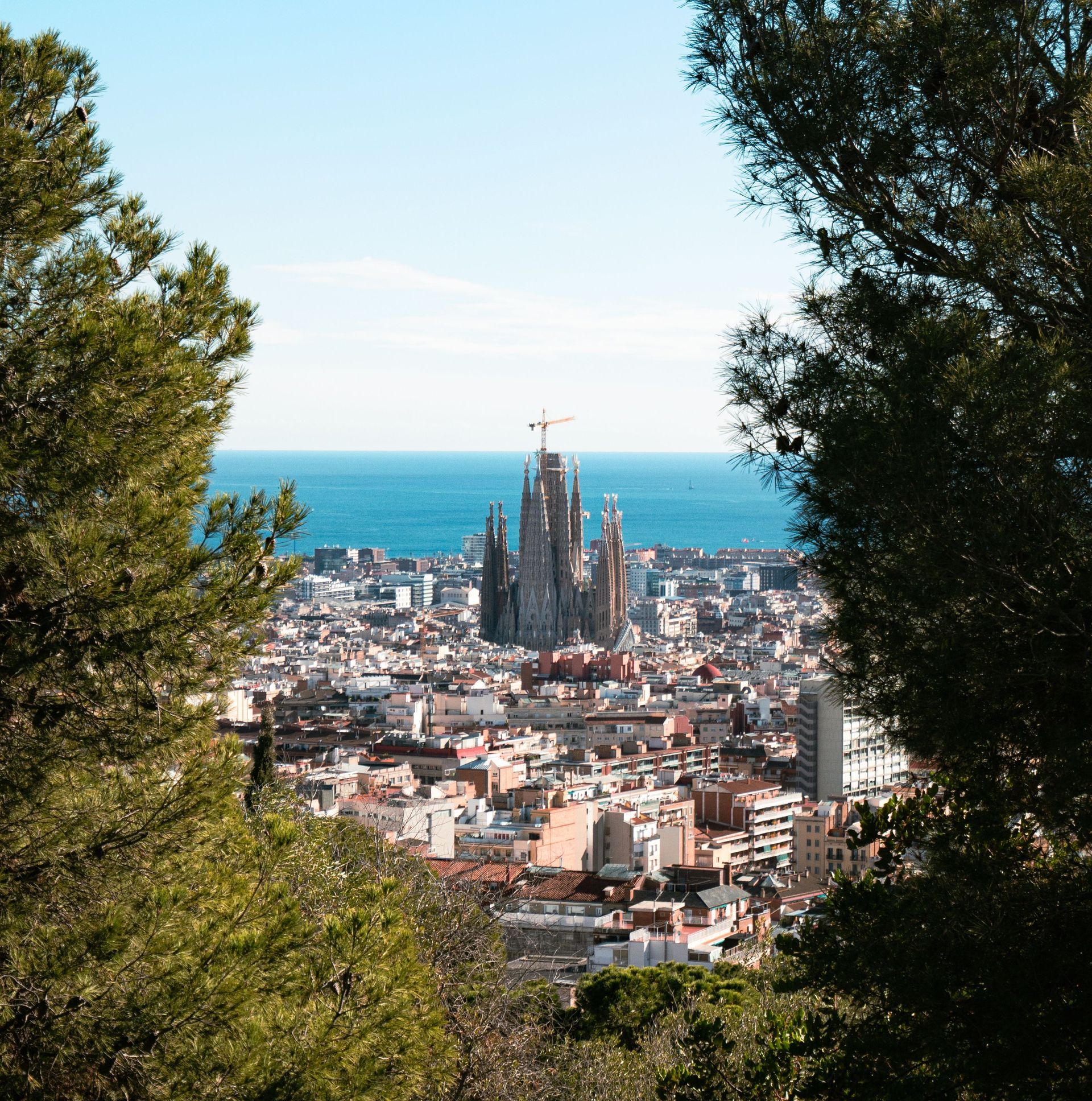 Vista de la ciudad a través de los árboles, con la Sagrada Familia elevándose sobre Barcelona y el mar azul en la distancia.