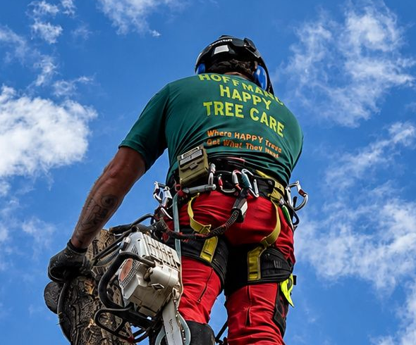 Tree care worker in red pants and green shirt stands on a lift against a blue sky, holding a chainsaw.