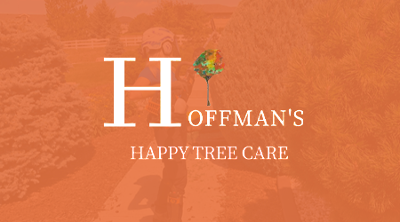 A man is cutting a tree with a chainsaw.