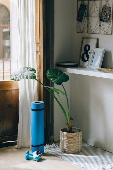 A bright indoor corner with a potted plant, rolled yoga mat, and dumbbells.