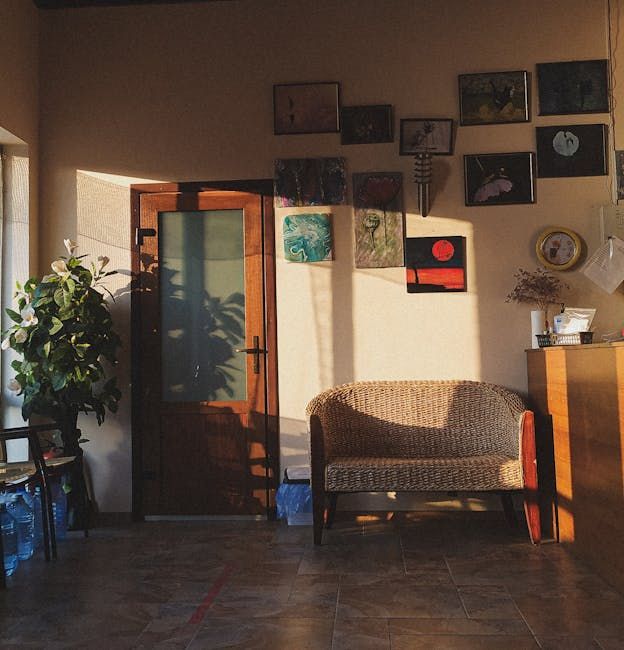 Sunlit room with door, sofa, art on wall, and potted plant.
