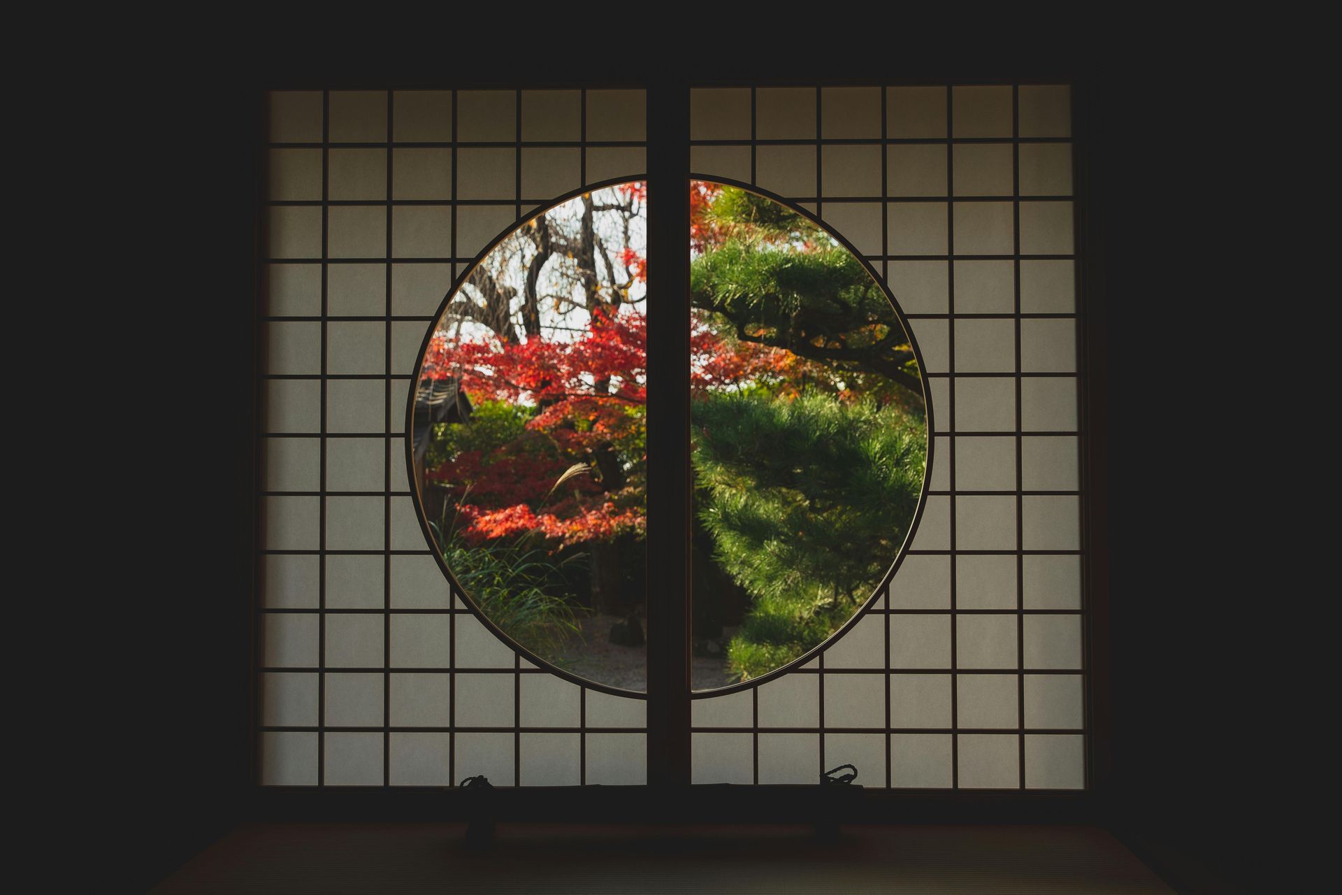 Japanese-style window frames a vibrant garden; red and green foliage inside a circular opening.