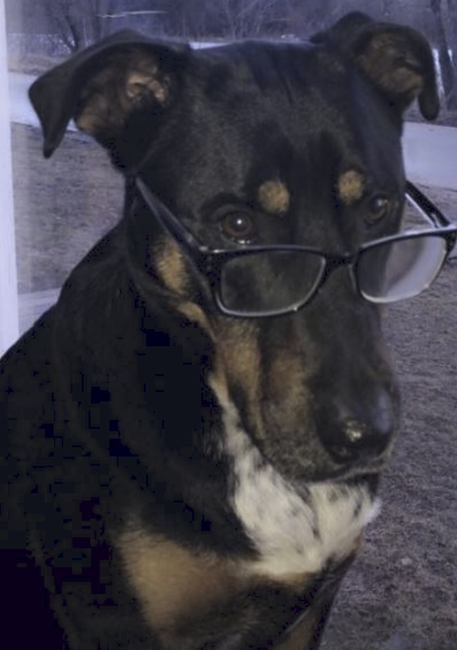 Caesar is CFO of Smartbump Media Solutions LLC