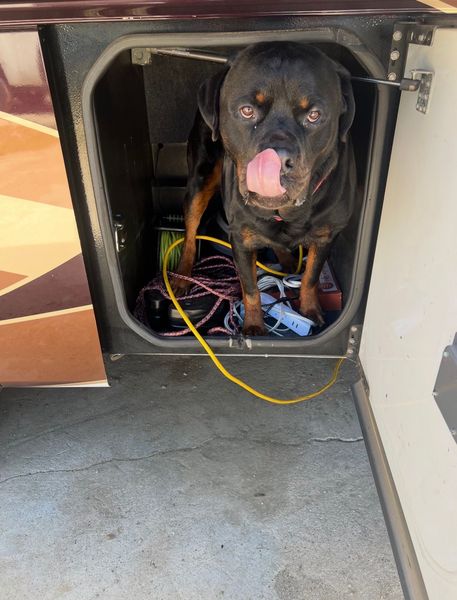 Rocco is Chief Of Product Testing for Smartbump Media Solutions LLC