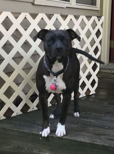 Winston is President & CEO of Smartbump Media Solutions LLC