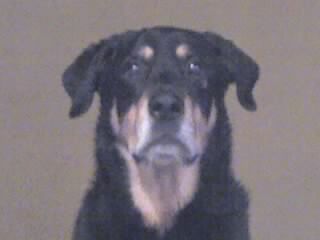 Winston is President & CEO of Smartbump Media Solutions LLC