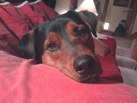 Caesar is CFO of Smartbump Media Solutions LLC