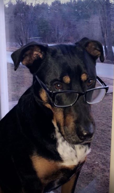 Houston wearing glasses, looking down indoors by a window.