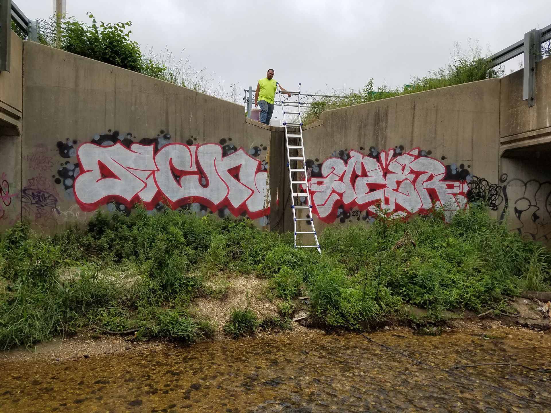 A man is standing on a ladder in front of a wall with graffiti on it.