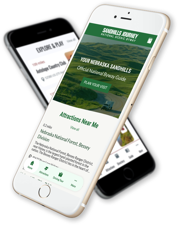 Mobile Phones Displaying Website Design & App Development